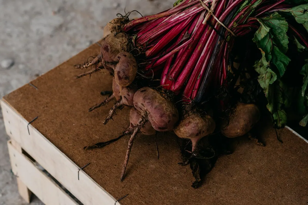 A bunch of fresh organic beetroots with their leaves on a rustic wooden crate