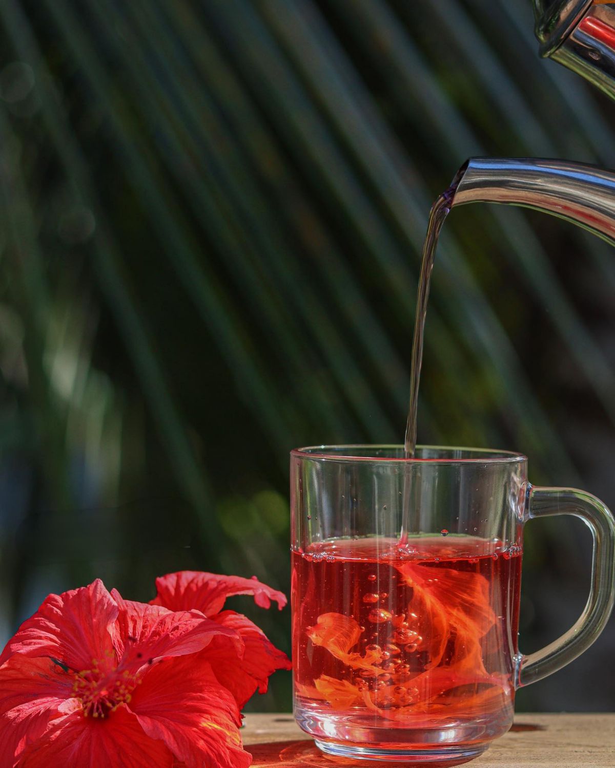 Hibiscus tea being poured, with a fresh hibiscus flower beside the cup