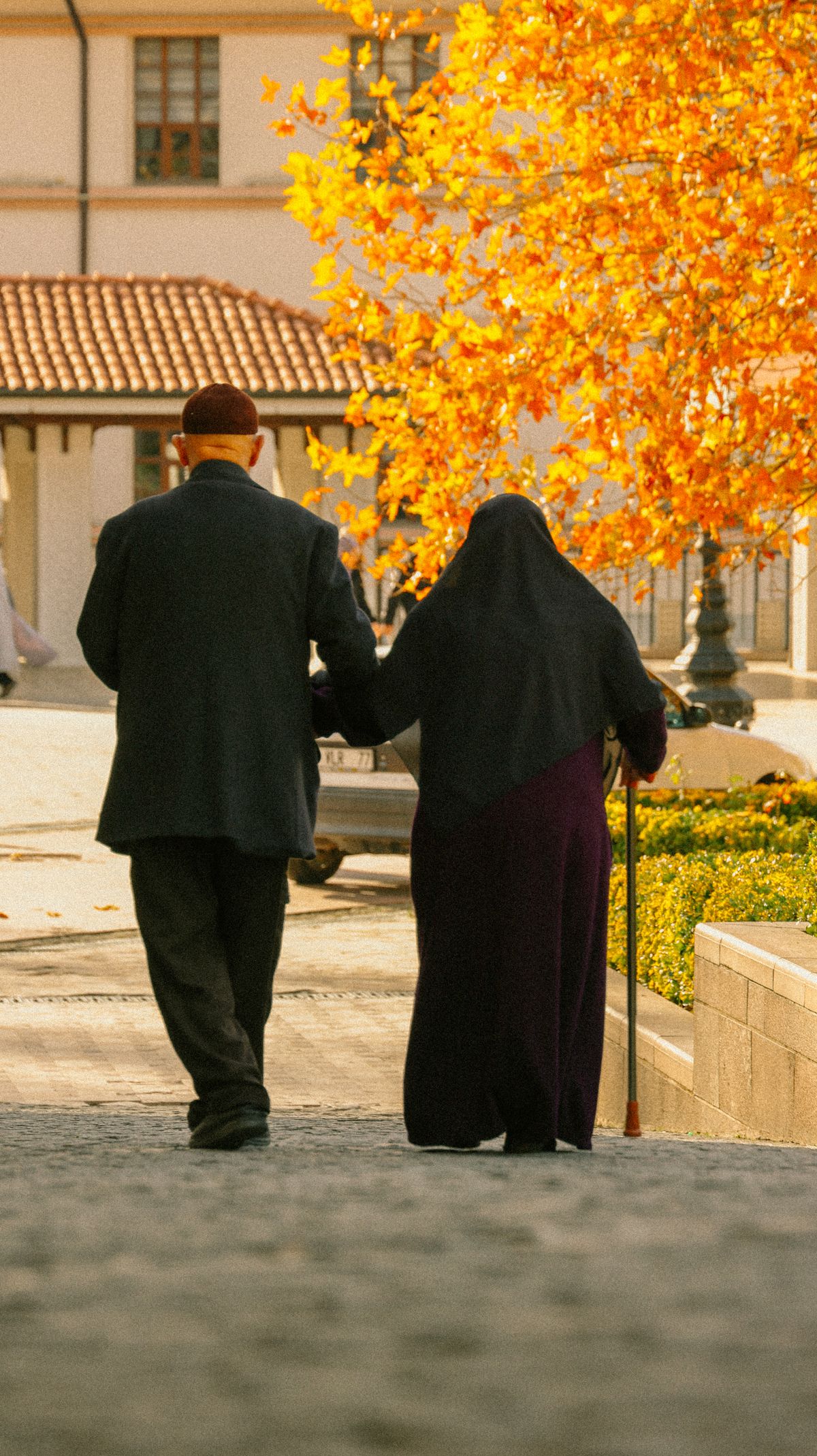 An older couple walking together outdoors on a tree-lined path, one of the lifestyle habits that can help lower blood pressure without medication